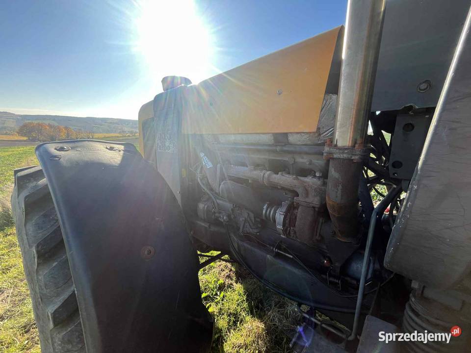 Renault 15554 lubelskie Krynice