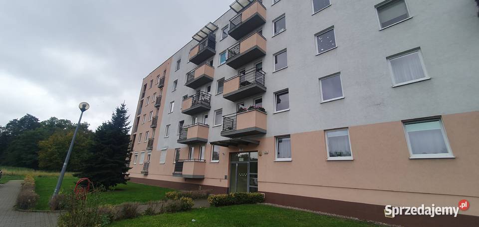 Mieszkanie do wynajęcia Muchobór Wrocław parking piwnica dolnośląskie sprzedam