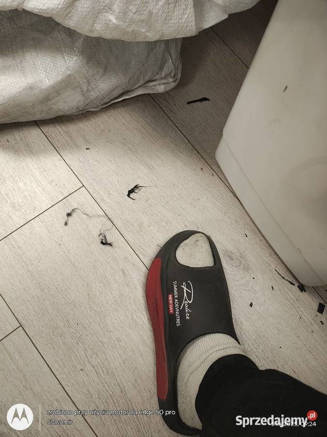 Klapki piankowe robione w calosci Poznań