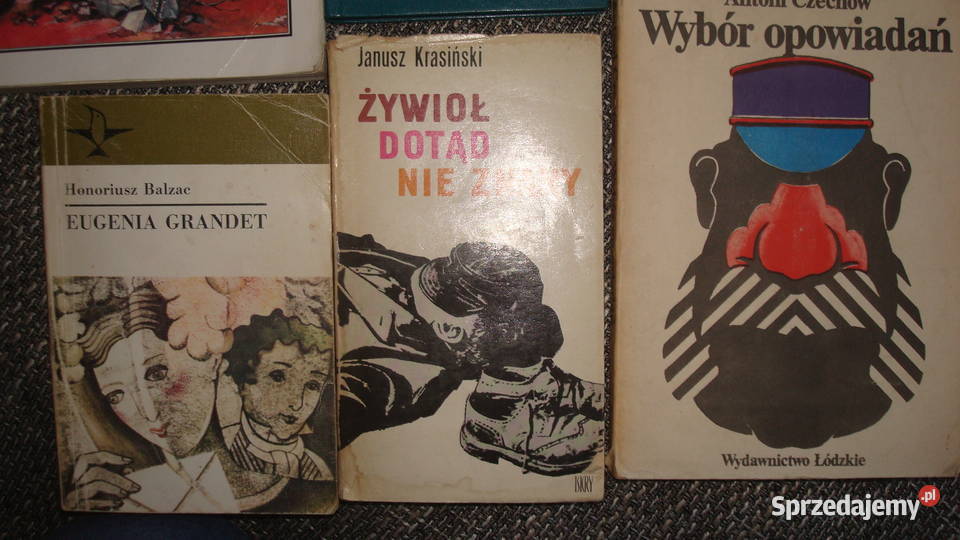 Literatura 6 js Osięciny