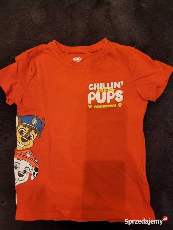 Paka ubrań chłopca rozmiar 110 podkarpackie Jarosław sprzedam