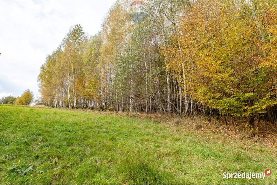 Działka rolna 848 m w Oczkowie Żywiec