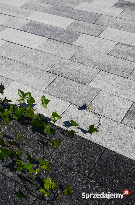 Kostka betonowa brukowa Pianola Wrocław sprzedam