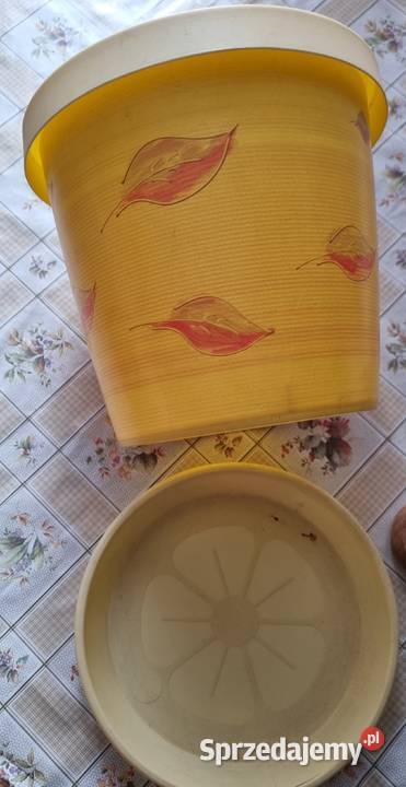 Doniczka śląskie Zabrze sprzedam