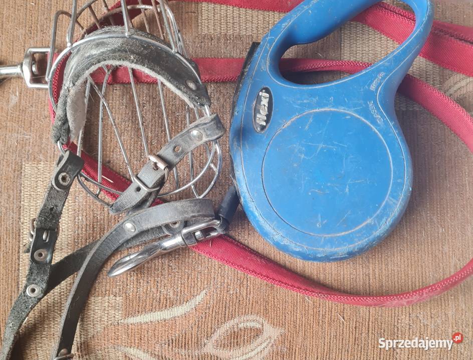 sprzedam smycze kaganiec psa Hrubieszów