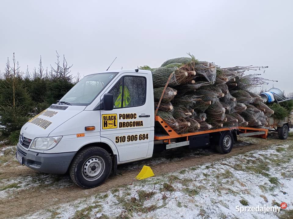 Pomoc Drogowa Autolaweta Olsztyn