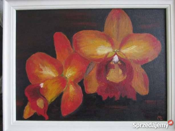 obraz olejny kwiaty storczyki diy Krosno
