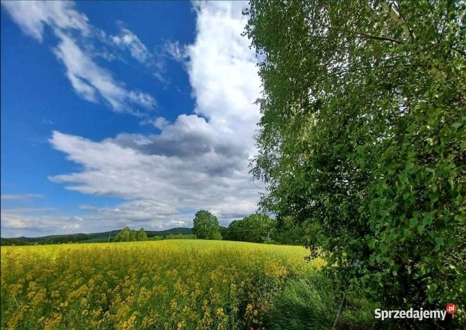 Działka górach 2700m2 Pławna Dolna