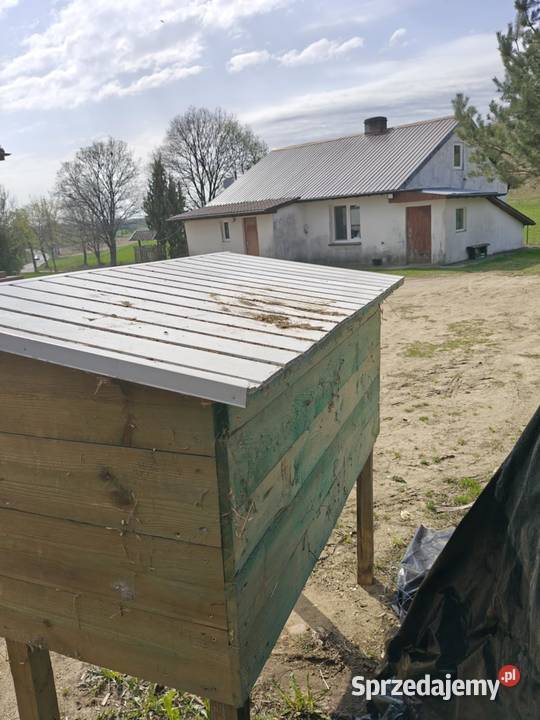 Używana klatka królików w stanie do sprzedania Suwałki