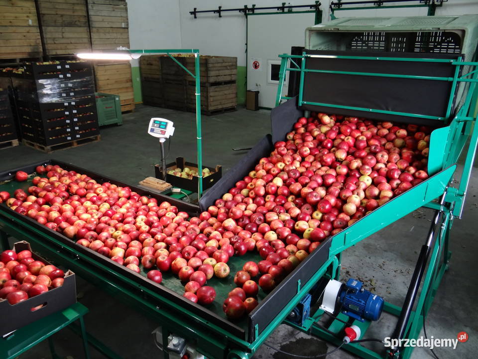 wywrotnica do skrzyniopalet Pozostałe Głudna