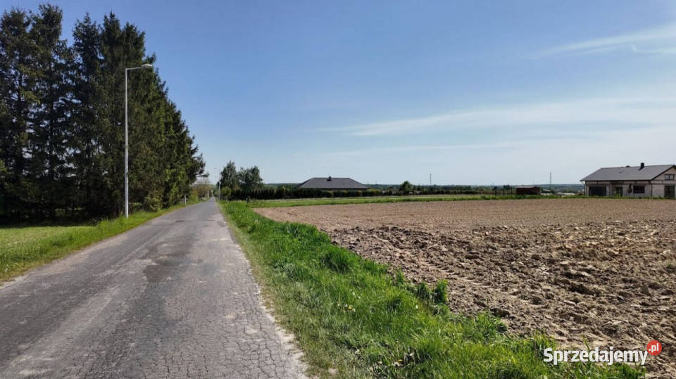 sprzedaży działki 4486m Charlęż 55zł/m2 lubelskie