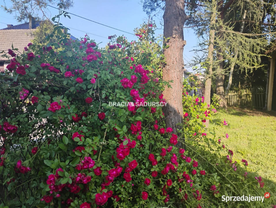 sprzedaży domu wolnostojącego Kłokoczyn 755m2 do remontu Sprzedaż sprzedam