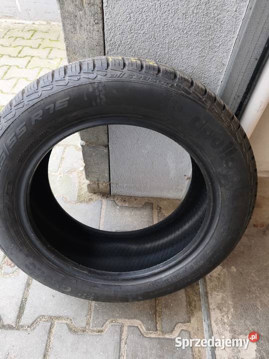 Apollo Alnac 4G All Season 20555 R16 94 H XL sprzedam