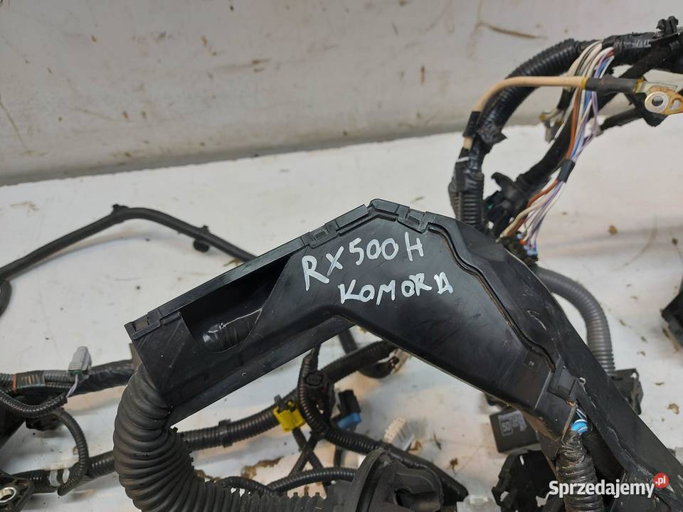 LEXUS RX500H V 5 2023 WIĄZKA KOMORY SILNIKA osobowe