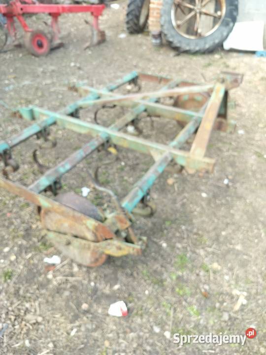 Kurtywator Grudziadz zebow 14 Miłochniewice