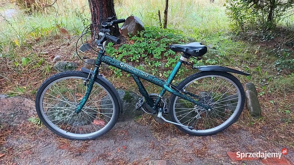 Włoski Rower Górski Mtb Retro Vintage Girardengo Wołów