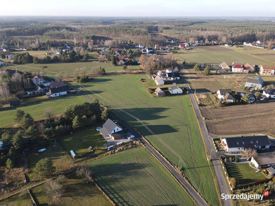 Duża działka budowlana 9051 m Turawa Marszałki sprzedam