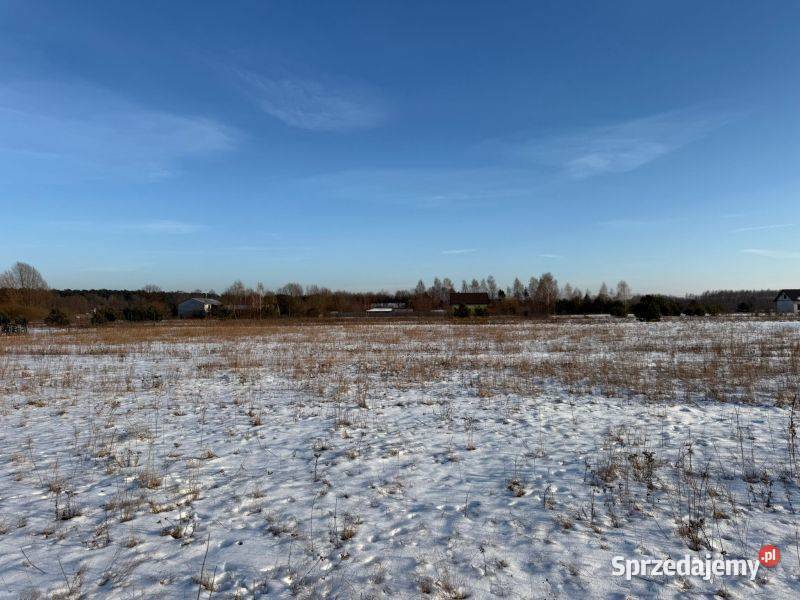 działki rekreacyjne jeziora Przytomne woda