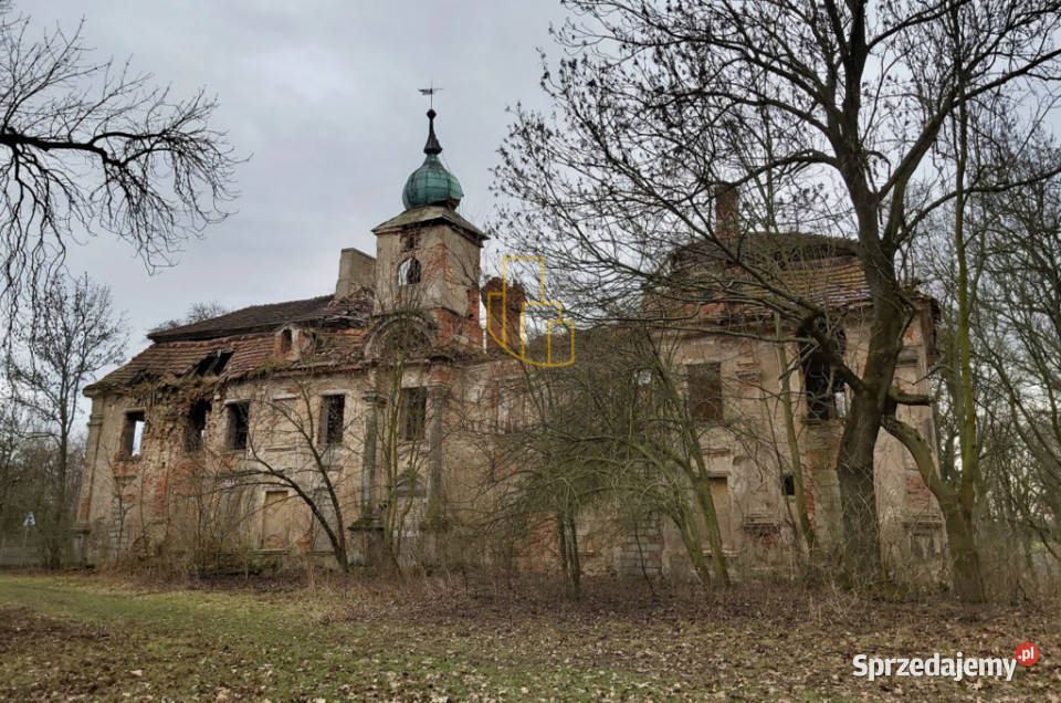 DomPałac obiekt zabytkowy wybudowany w 1782r Liczba pokoi 50 Wojciechów sprzedam