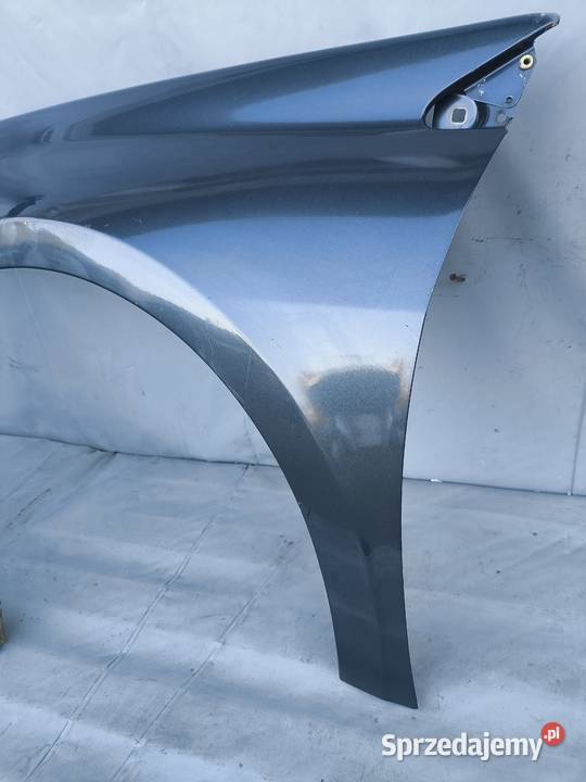 RENAULT LAGUNA III 3 BŁOTNIK LEWY PRAWY PRZEDNI Radom