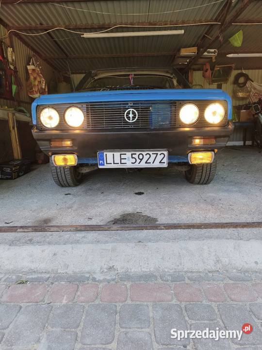 Polonez akwarium Łęczna sprzedam