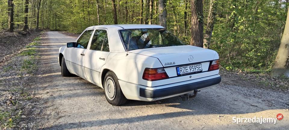 Mercedes W124 250D 2497cm3 podkarpackie Hermanowa