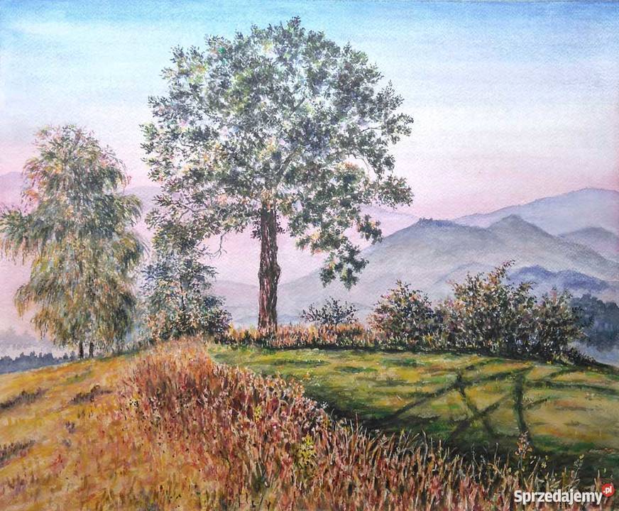 Obraz akwarelowy pejzaż góry akwarela widok Karpacz