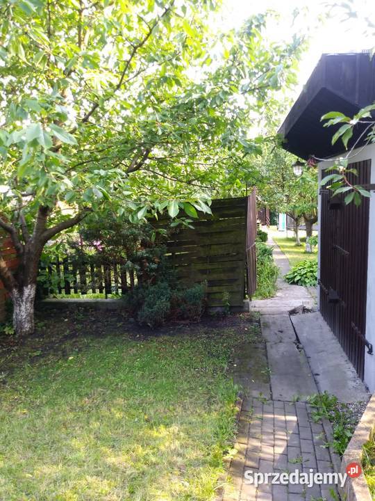 Sprzedam ogród działkowy ROD Sprzedaż śląskie Ruda Śląska