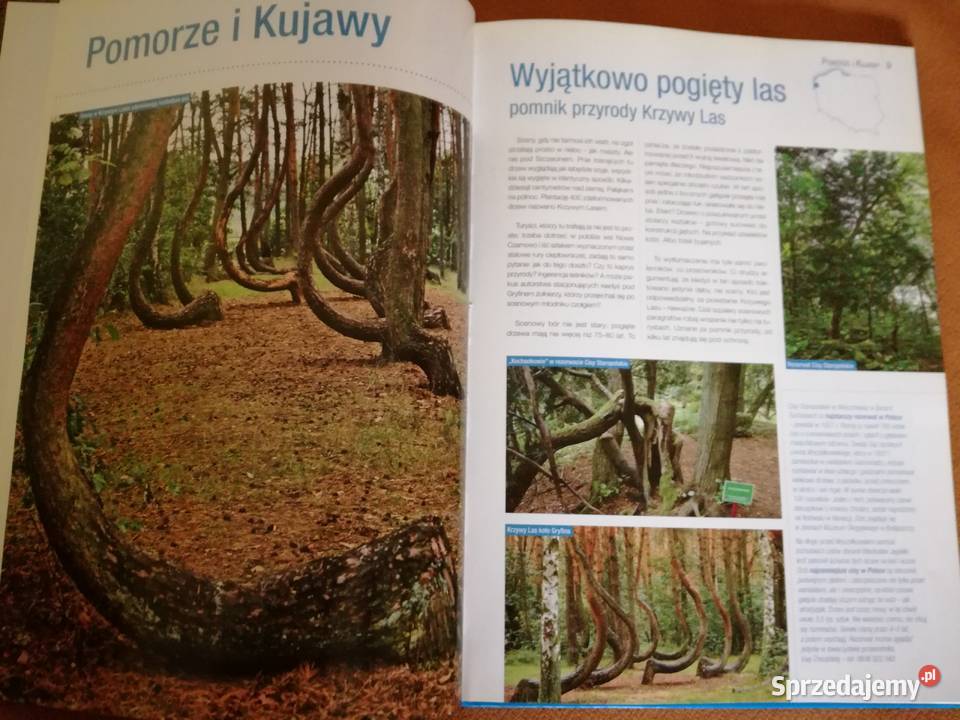 Polska Rekordy i ciekawostkiMSapała AOlejKobus Książki i Podręczniki Łódź