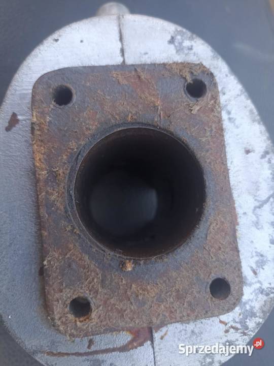Cylinder zek rys komar zachodniopomorskie Moczkowo