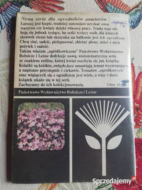 Goździki w ogródku Rabatowe skalneDocdr K Mynett Kraków