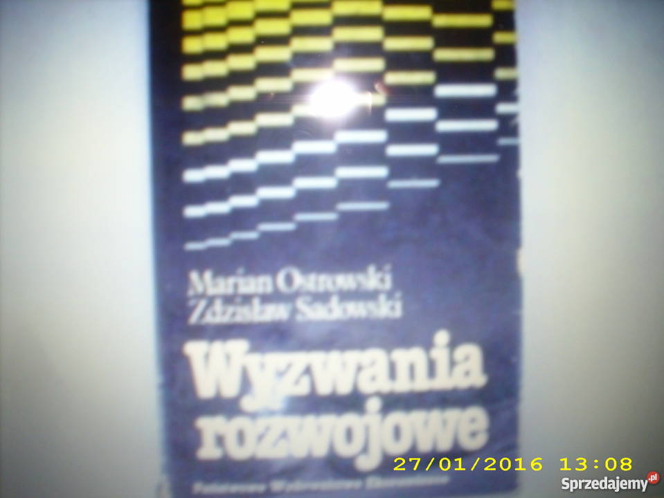 Wyzwania rozwojowe Ostrowski Sadowski FA