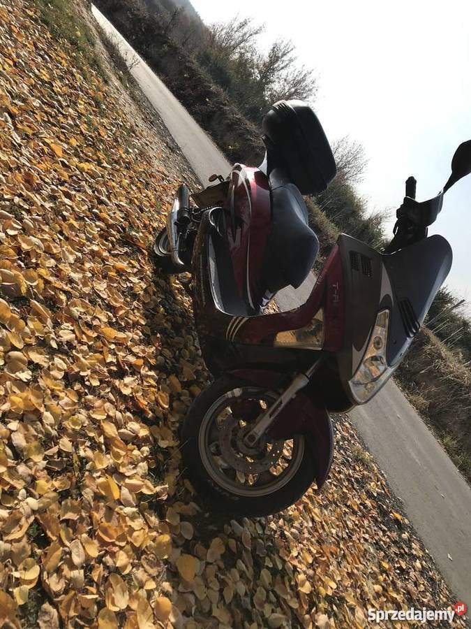 MAGNUS TREX 2T 5070 DOINWESTOWANY Sandomierz