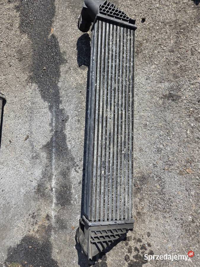 Intercooler laguna 2 osobowe Łagów sprzedam