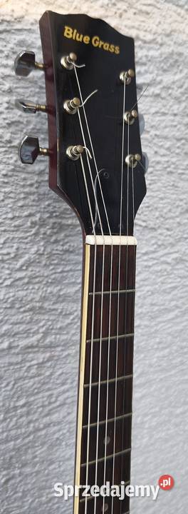Gitara akustyczna Blue Grass Instrumenty Poznań