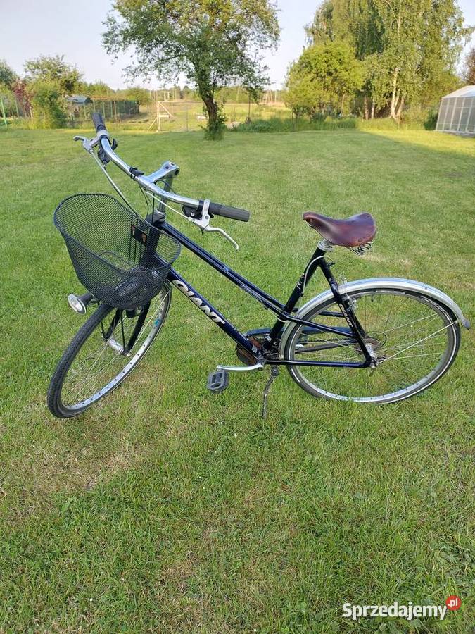 rower GIANT Klasyk Koła 28 Aluminiowa rama Częstochowa