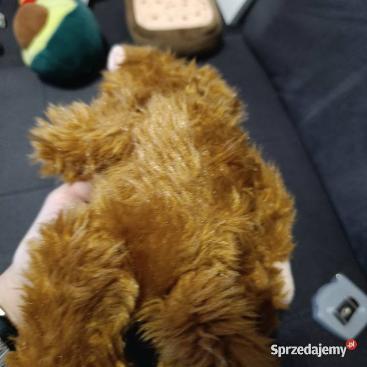 pluszowa zabawka małpka Poznań