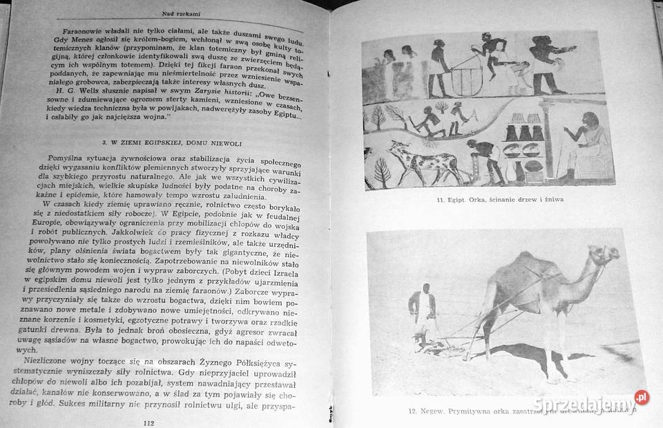 Spadkobiercy Opowieść o człowieku Ritchie Calder