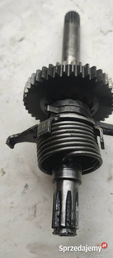 Romet chart wielkopolskie Szamotuły