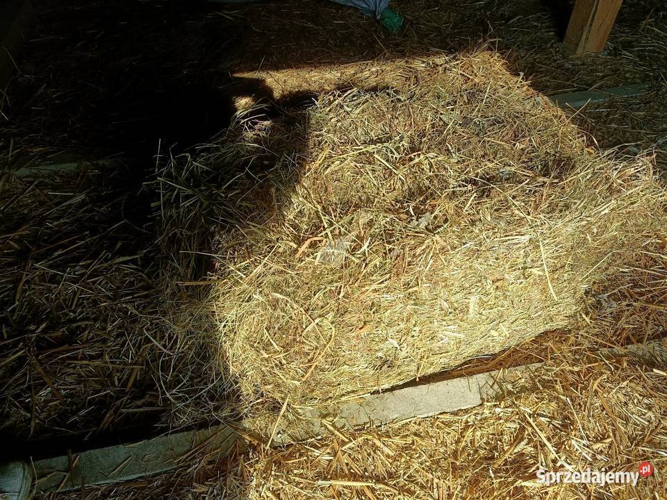 Siano ekologiczne Piastów sprzedam