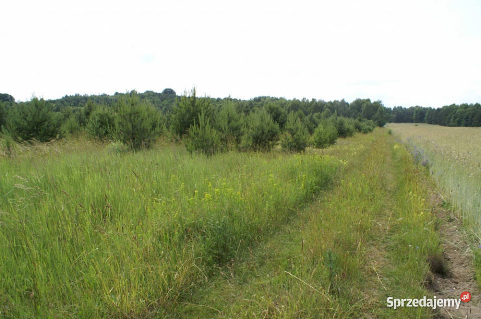 Działka 64 190 m Piaseczno