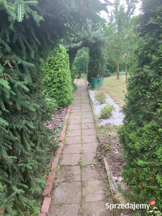 Ogródek działkowy ROD Miejski w Czeladzi śląskie Czeladź