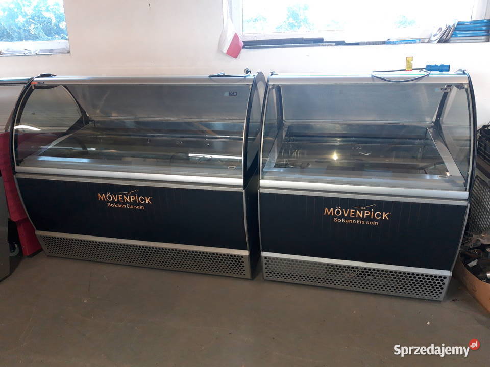 Konserwator do lodów Isa Millennium witryna do Wrocław
