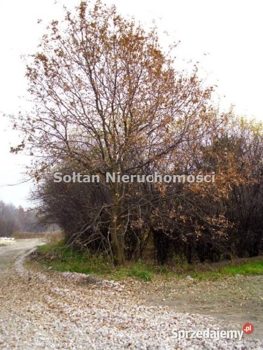 sprzedam grunt 6600m2 Warszawa