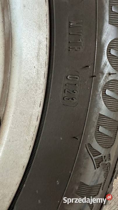 GOODYEAR VECTOR 4SEASONS GEN2 OPONA 21555 R17 Ciężarowe