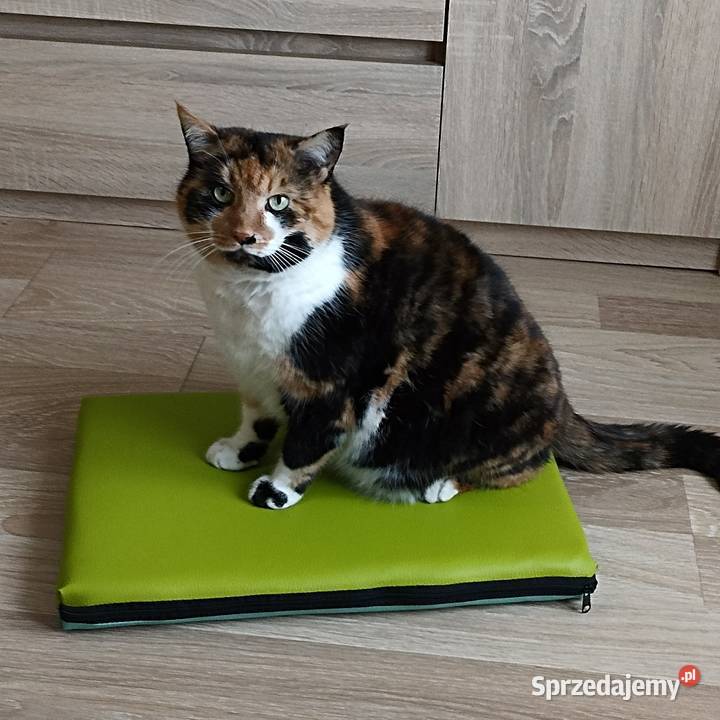 LEGOWISKO MATERAC dwustronne PSA KOTA 100x60x6 podlaskie Łapy