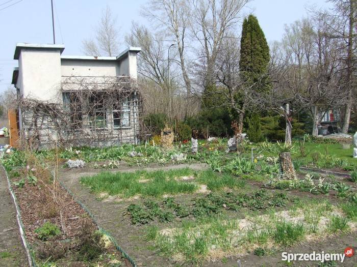 Sprzedam działkę na terenie ROD Okęcie Warszawa Warszawa