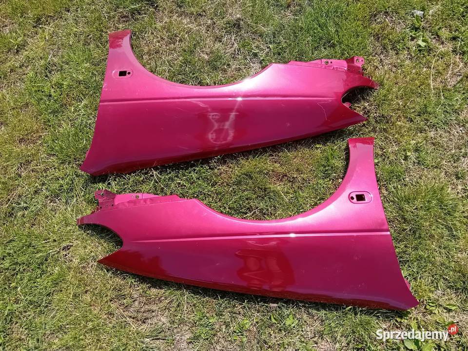 BLOTKIKI PRZÓD LEWY PRAWY RENAULT MEGANE Biała Podlaska
