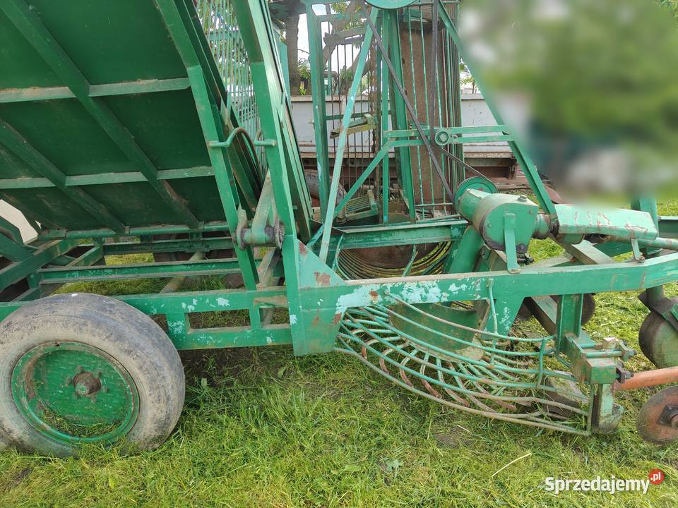 Wyorywacz do selera kopaczka do selerów Koniusza