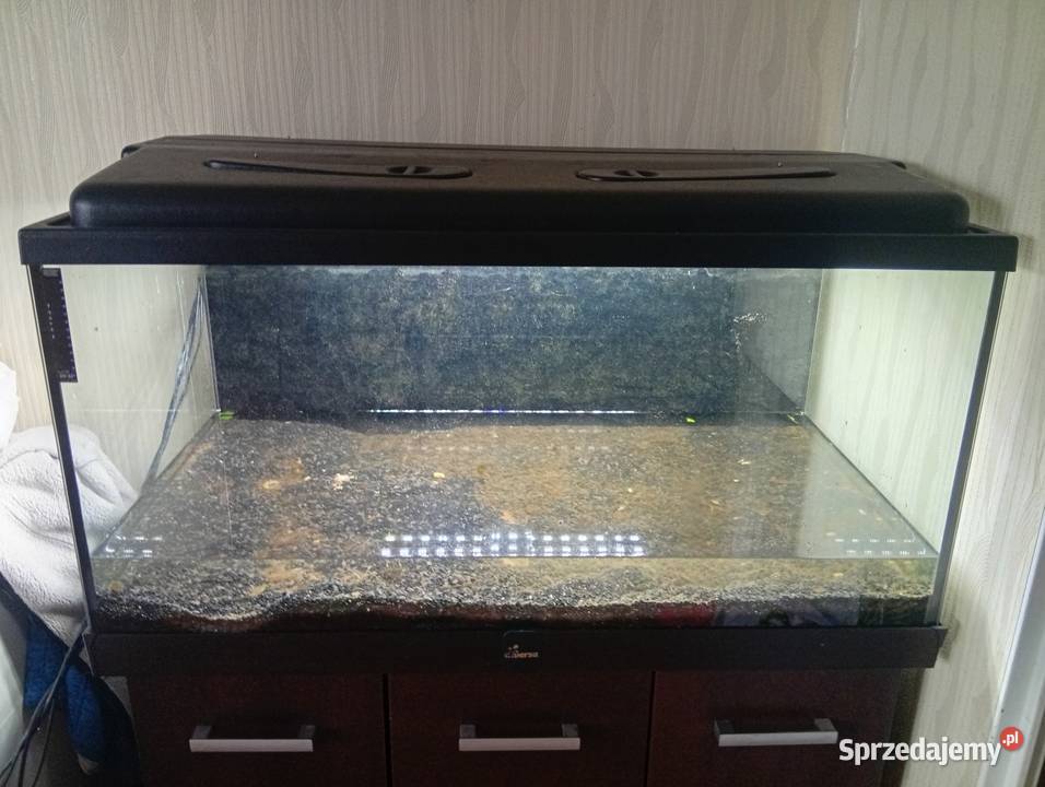 Akwarium 250l Ryby Brzeszcze